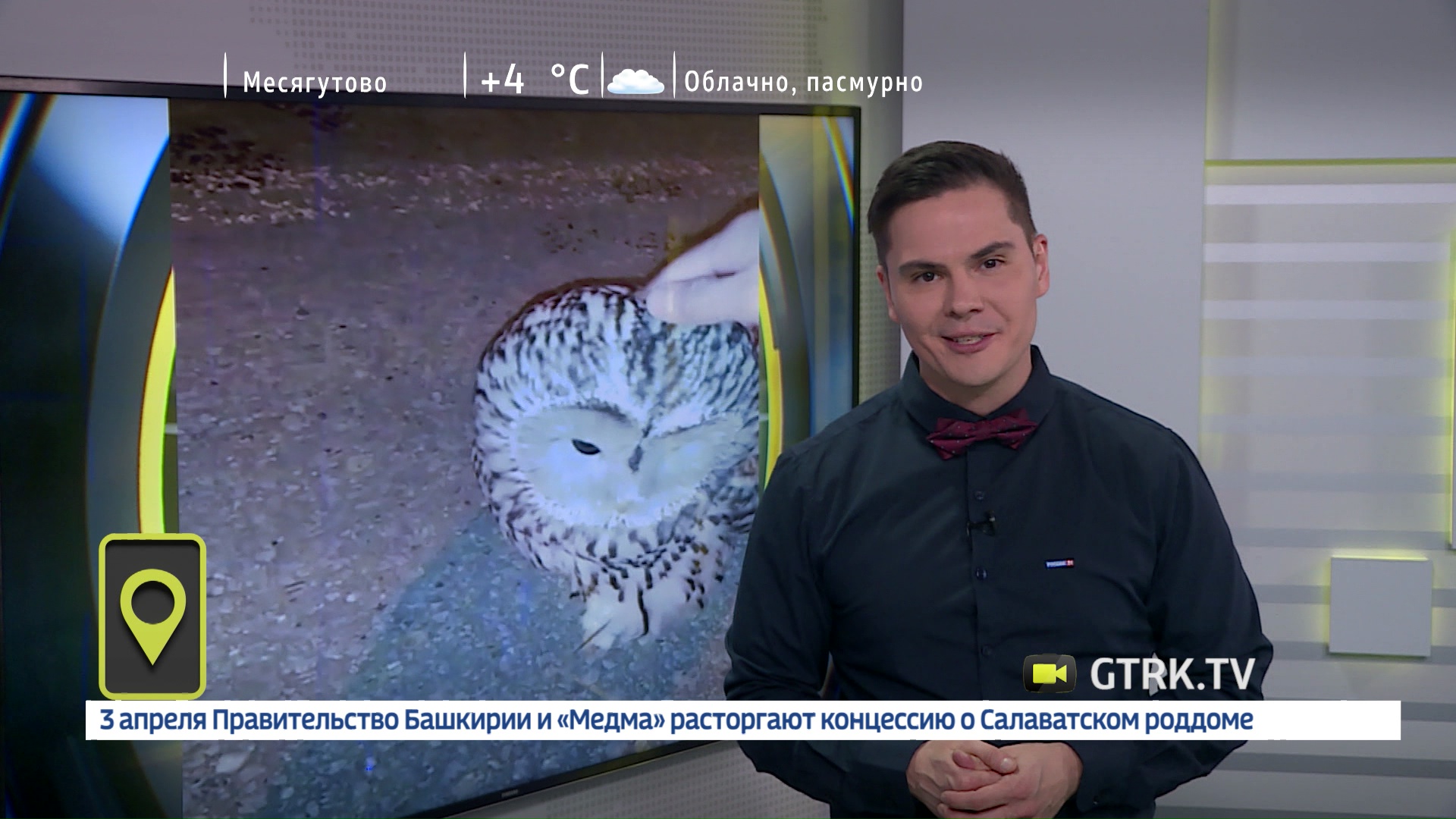 Мобильный репортер – 01.04.19