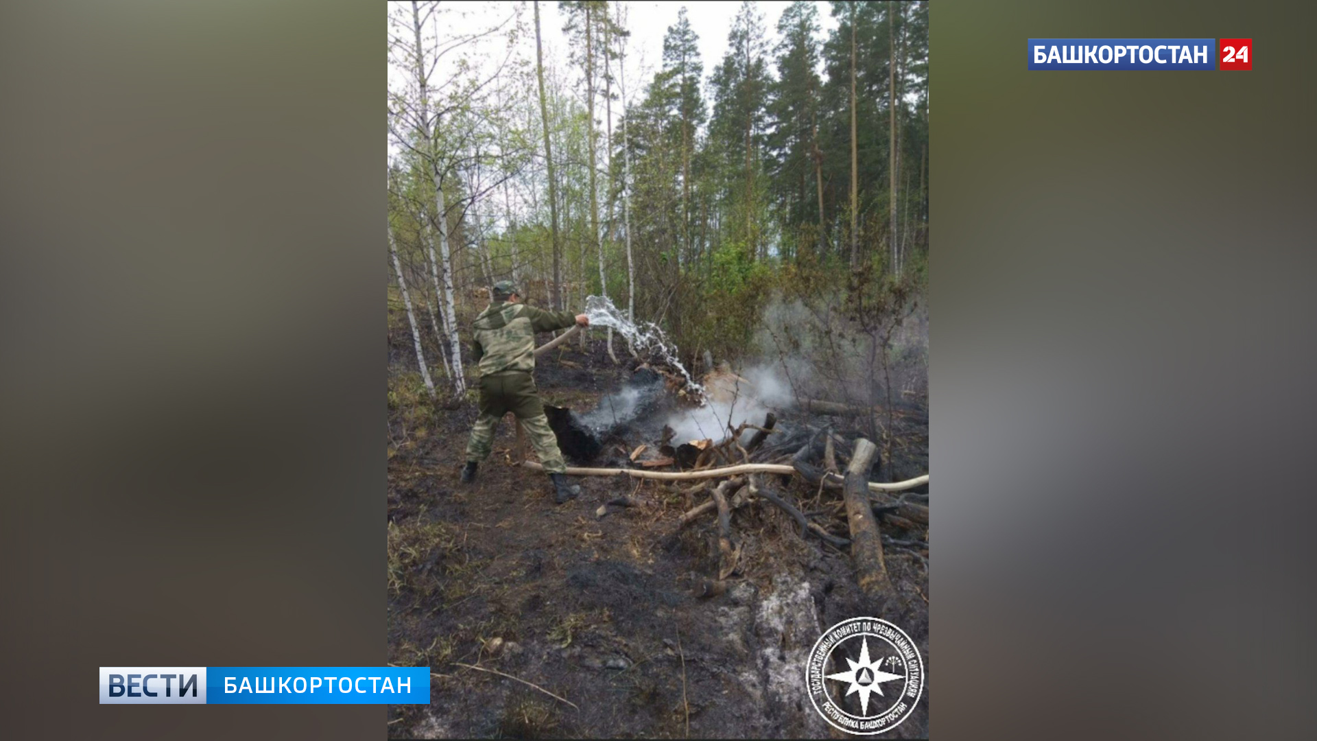 В Бурзянском районе Башкортостана потушили лесной пожар | 0