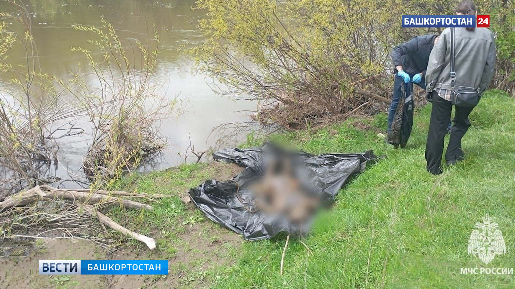 В Башкортостане устанавливают личность мужчины, чье тело извлекли из реки Белой в Белорецком районе