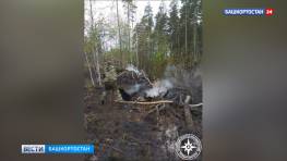 В Бурзянском районе Башкортостана потушили лесной пожар