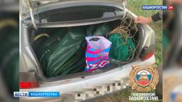 Легковушку с десятками рыб и раков в багажнике остановили сотрудники ГИБДД в Башкортостане