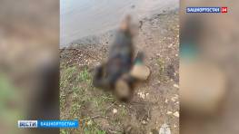 Уехавший на рыбалку мужчина в Башкортостане найден мертвым