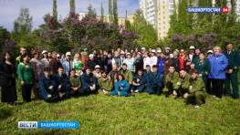 В Уфе в честь 80-летия Великой Победы высадили 80 каштанов