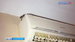 В Уфе спасатели вызволили залетевшую в квартиру летучую мышь