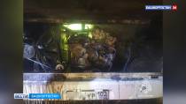 В Салавате загорелся автобус с 70 пассажирами в салоне | 1