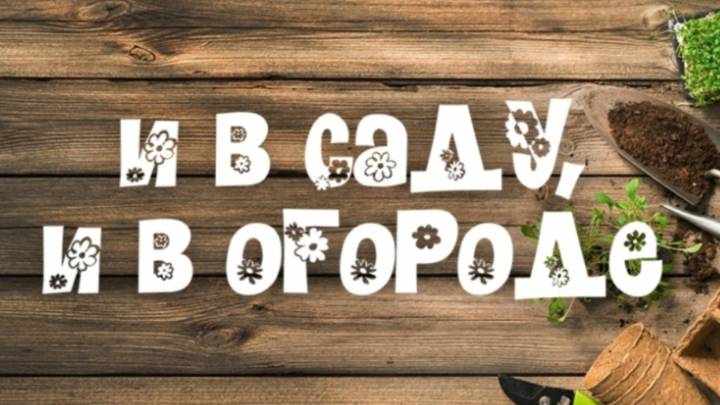 И в саду, и в огороде - 15.07.2024 Подкормка огурцов | ГТРК «Башкортостан»