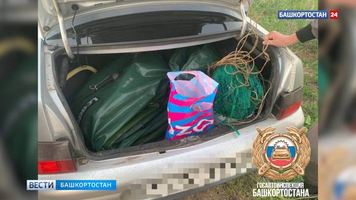 Легковушку с десятками рыб и раков в багажнике остановили сотрудники ГИБДД в Башкортостане | ГТРК «Башкортостан»